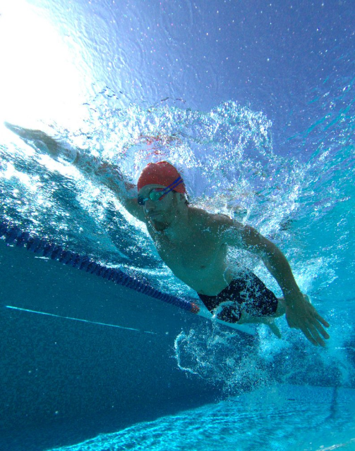 A cabeça de um nadador está fora de água numa piscina, demonstrando técnica e concentração durante o treino.